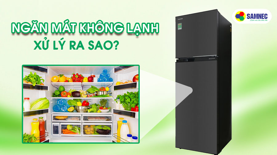 Tủ lạnh Samsung Inverter không lạnh: Nguyên nhân & cách khắc phục
